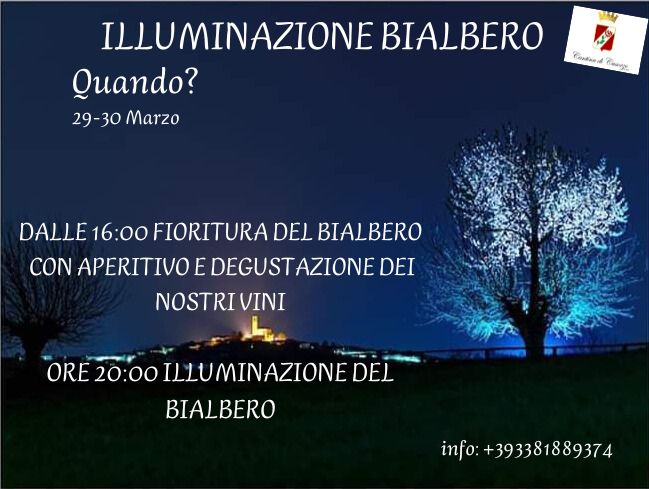 ILLUMINAZIONE DEL BIALBERO